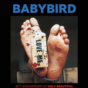 Babybird