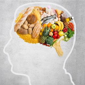 Seed Talks: The Gut Brain Connection