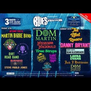 LOOE Blues, Rhythm & Rock Festival
