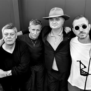 An evening with Babyshambles