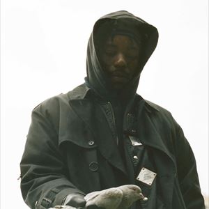 Montell Fish