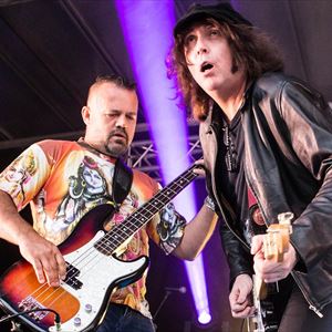 The Icicle Works