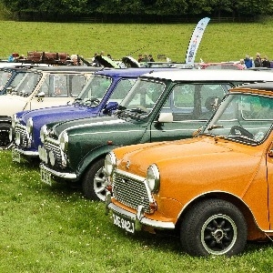 Festival Of 1,000 Classic Cars