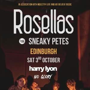 Rosellas + Harry Lion + No Glory
