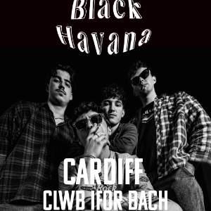 Black Havana