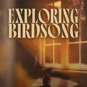 Exploring Birdsong