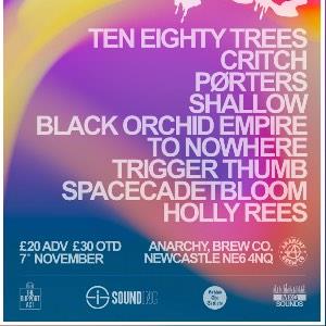 Veritas Festival