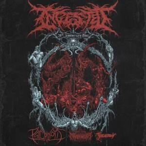 Ingested