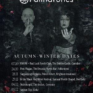 Palindrones + Support